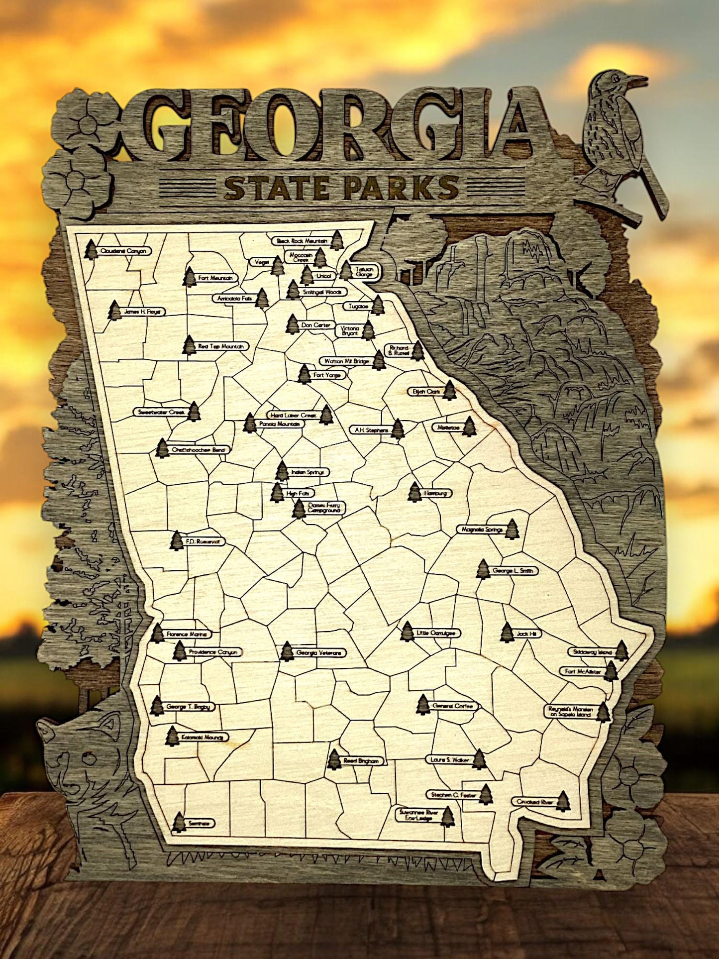 Wooden Georgia State Park Interactive Map 2 Sizes AVAILABLE