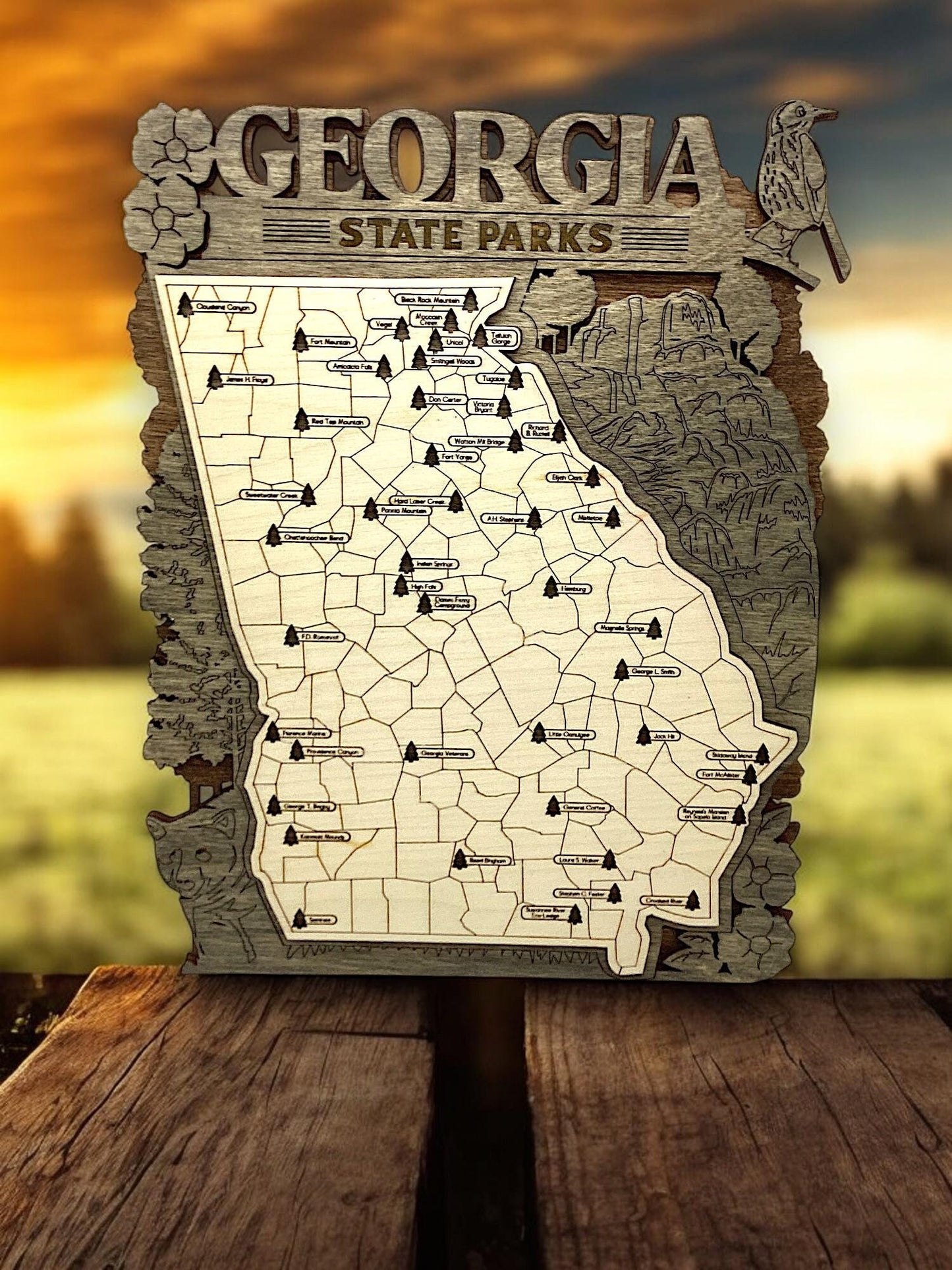 Wooden Georgia State Park Interactive Map 2 Sizes AVAILABLE