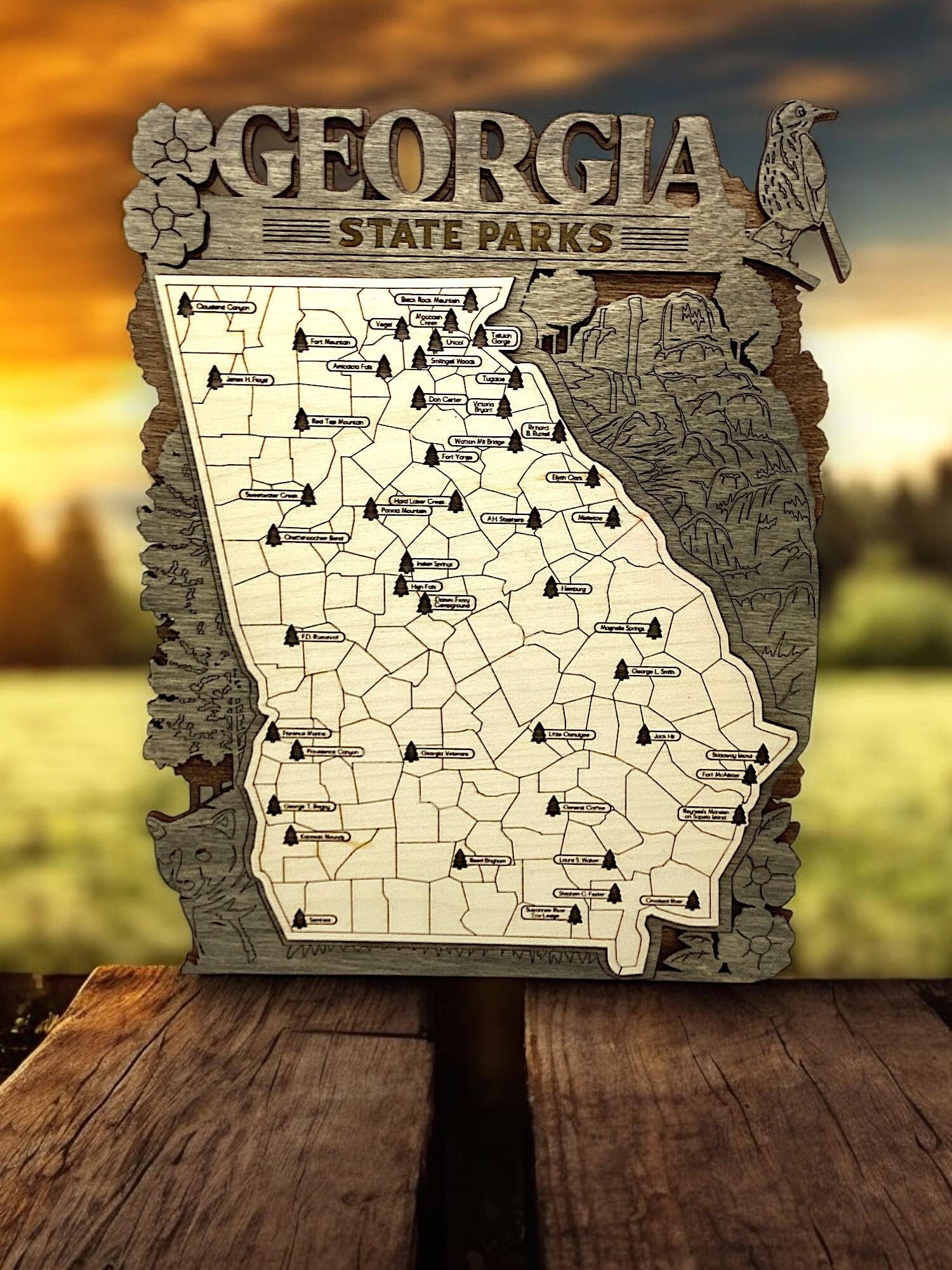 Wooden Georgia State Park Interactive Map 2 Sizes AVAILABLE