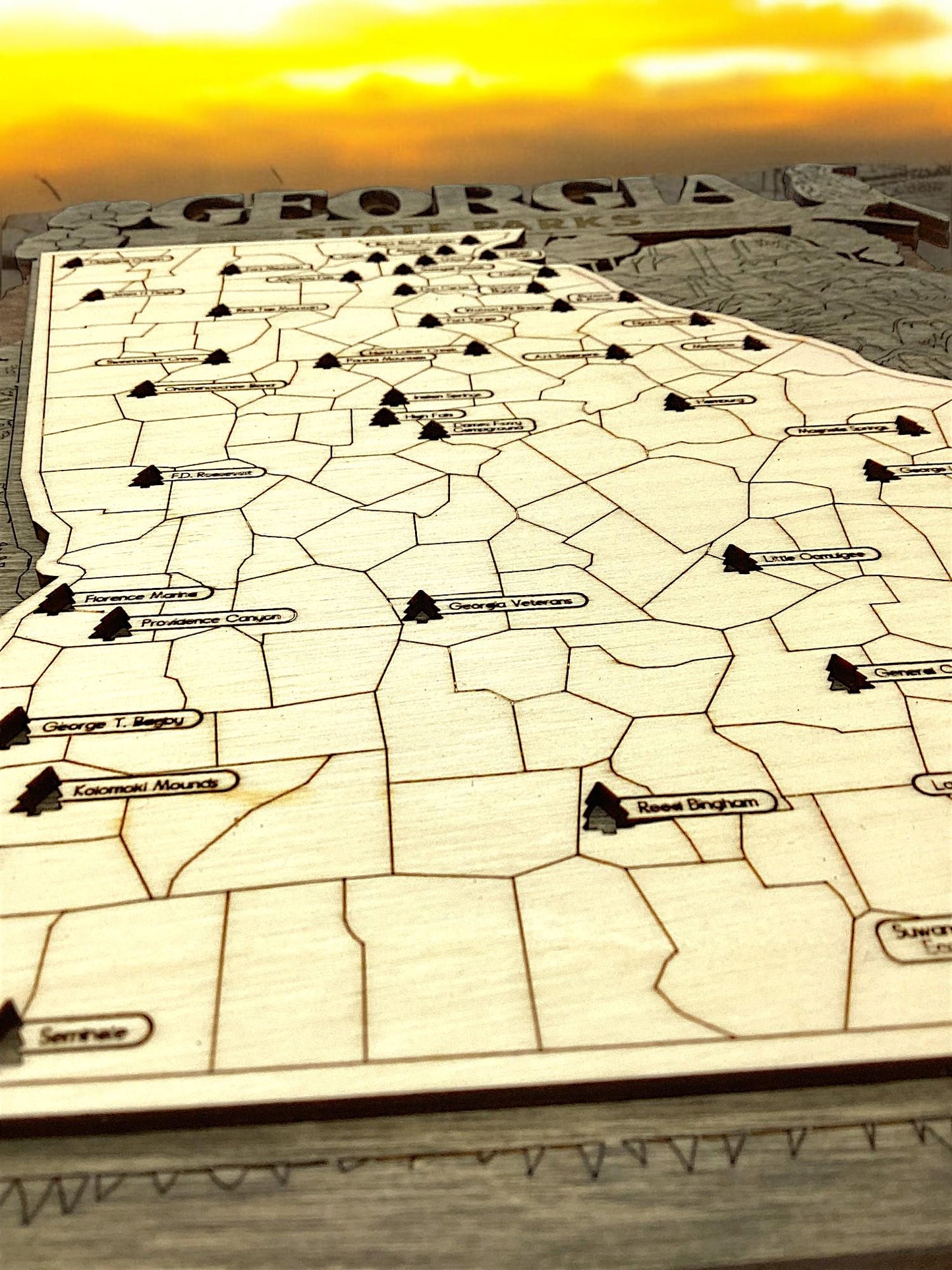 Wooden Georgia State Park Interactive Map 2 Sizes AVAILABLE