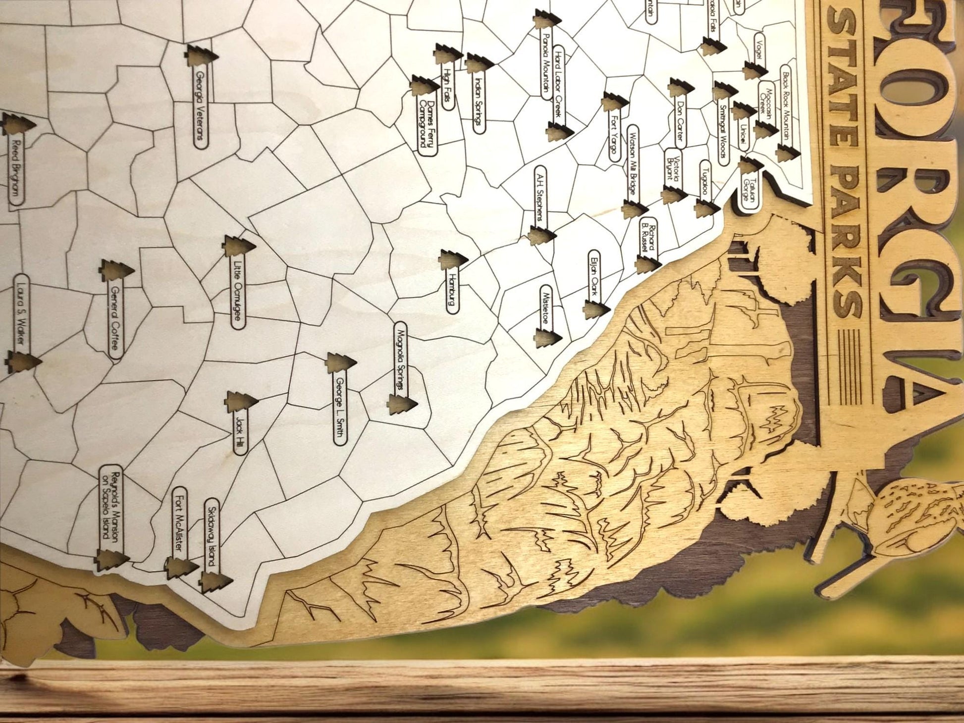 Wooden Georgia State Park Interactive Map 2 Sizes AVAILABLE