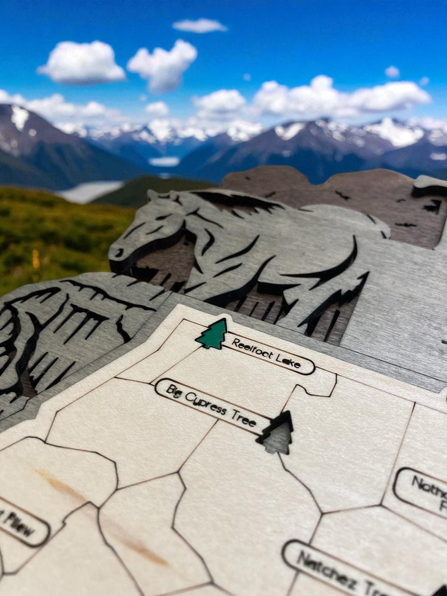 Tennessee State Parks Interactive Wooden Map